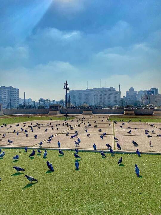 افضل اماكن الفسحه والخروج في التحرير بالقاهرة