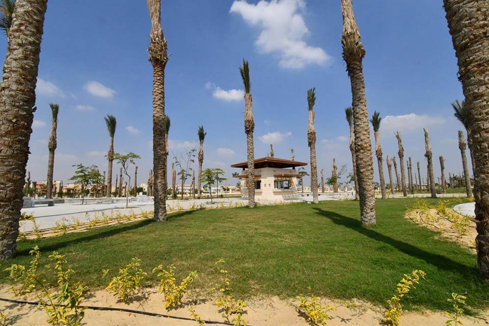 حديقة في الشيخ زايد