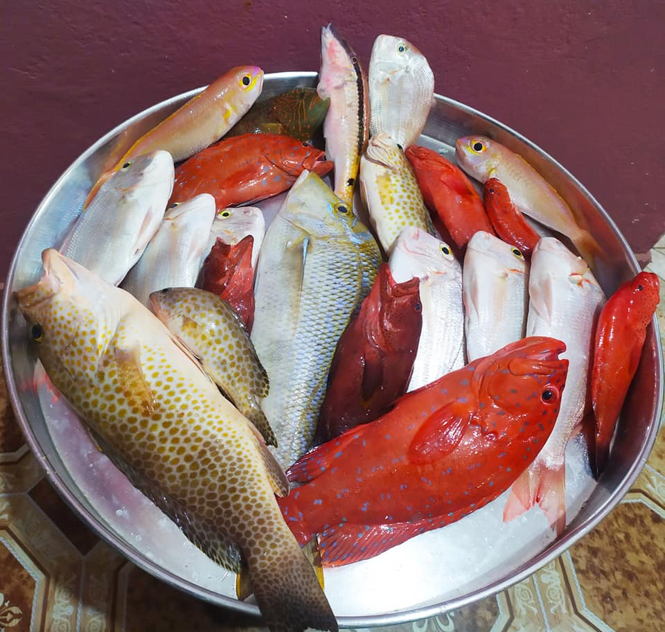 أفضل أماكن صيد السمك في البحر الأحمر