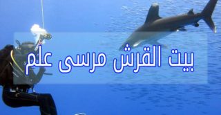 بيت القرش مرسى علم